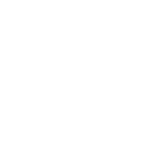 Zephyrgold Group Logo